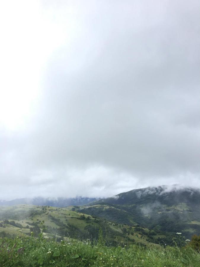 Садиба Between Mountains Mizhhirya  外观 照片