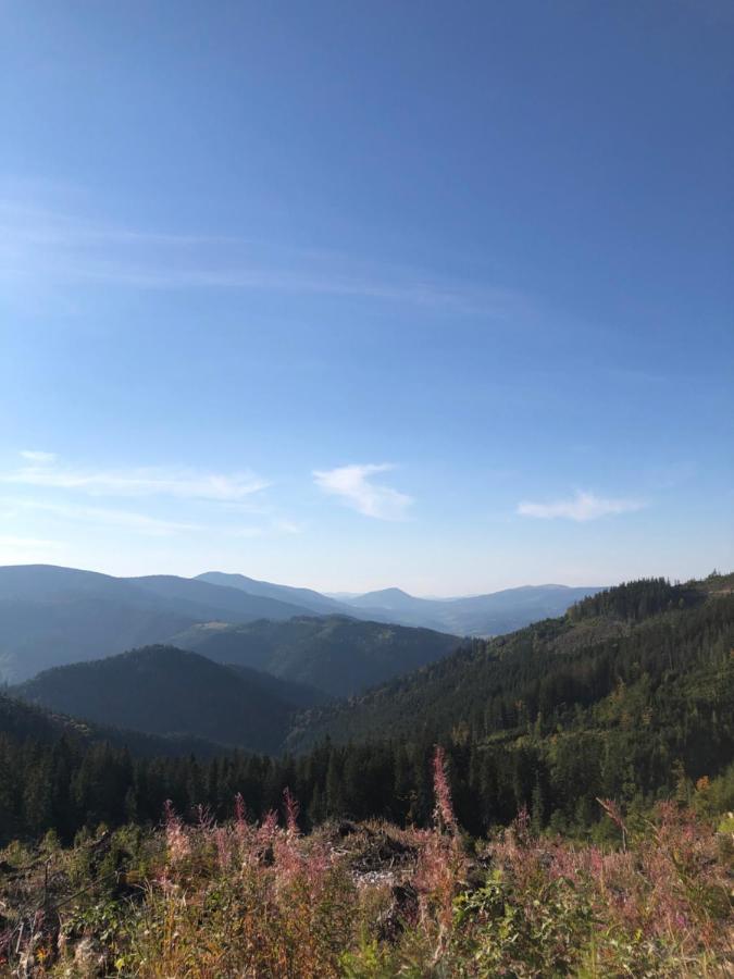 Садиба Between Mountains Mizhhirya  外观 照片
