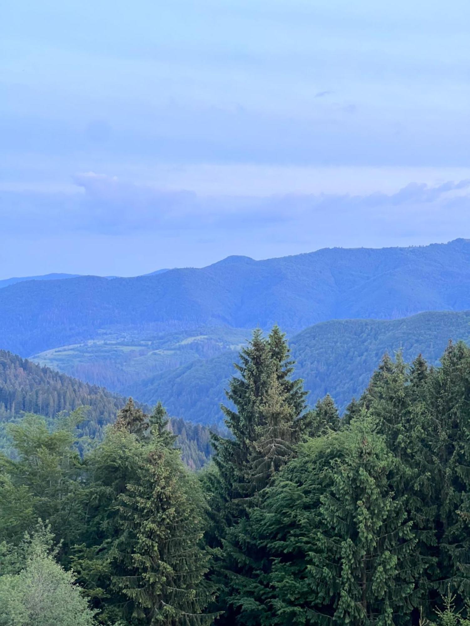 Садиба Between Mountains Mizhhirya  外观 照片