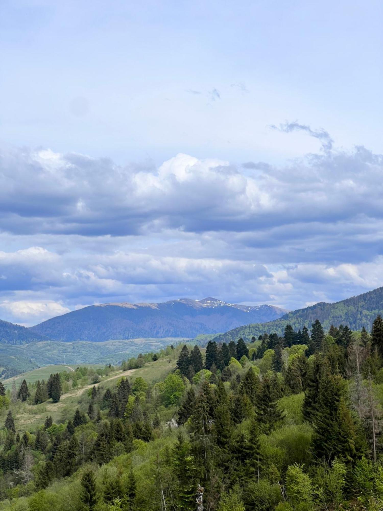 Садиба Between Mountains Mizhhirya  外观 照片